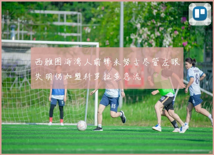 西雅图海湾人前锋米努古尽管左眼失明仍加盟科罗拉多急流
